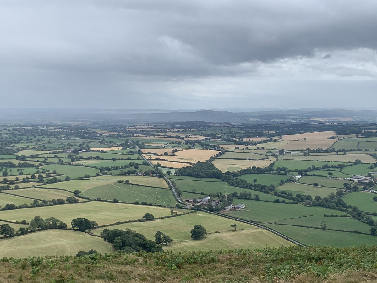 ManelRoura's tweet photo. Daily walk today at #Breidden Hills #Wales. I did the Breidden Hill and the Middleton Hill and saved the Moel Y Golfa Hill for another occasion. Spectacular scenery and sky. Really recomendable walk. https://t.co/Jvi8mnbGxG