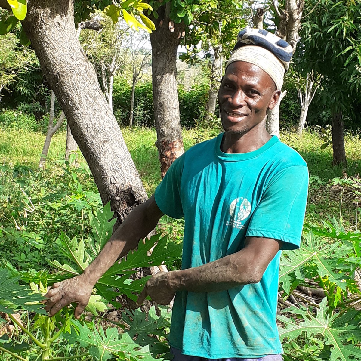 TeleBere's tweet image. 