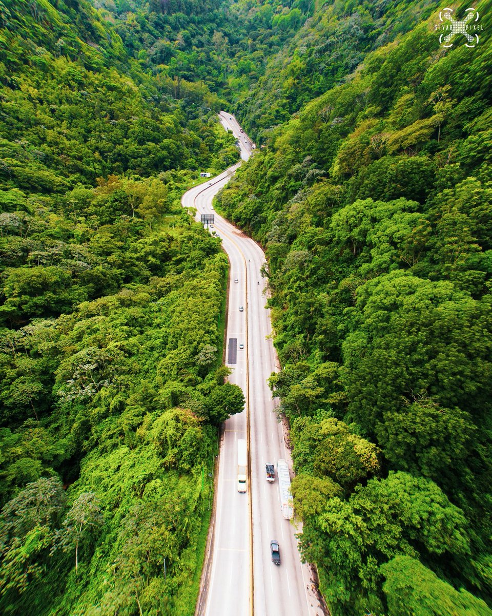 ¡Un respiro en la ciudad!

Instagram ➡️ @sivarpixel

#carreteraloschorros #breathe #air #city #tree #libertad #respiro #elsalvadorpro #elsalvadorphotos #djiglobal #dji #djiphotography #djing #streetview #desenfoque #ElSalvadorimpressive #loschorros #photooftheday