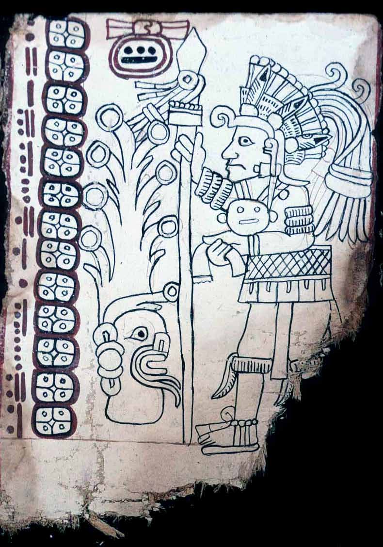 JALopezRamos's tweet photo. https://t.co/BDE35LXUTW los cientos de miles de libros del México antiguo, se conservan unos cuantos, resguardados por museos y bibliotecas de Europa y sólo el Códice Alfonso Caso y el Códice Maya se encuentran en la Biblioteca Nacional de Antropología e Historia de México. https://t.co/8QBhwNHmXX