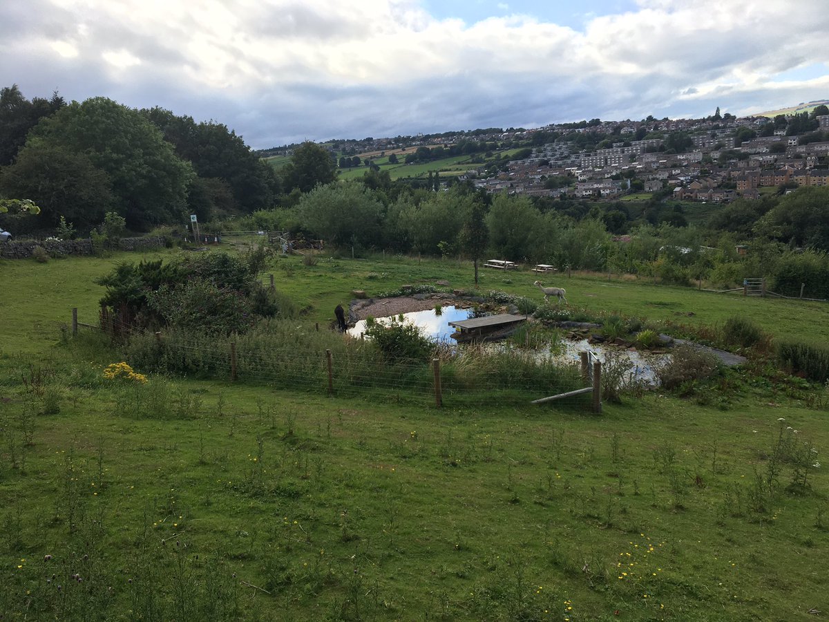 Roxanne Maritz tweet media