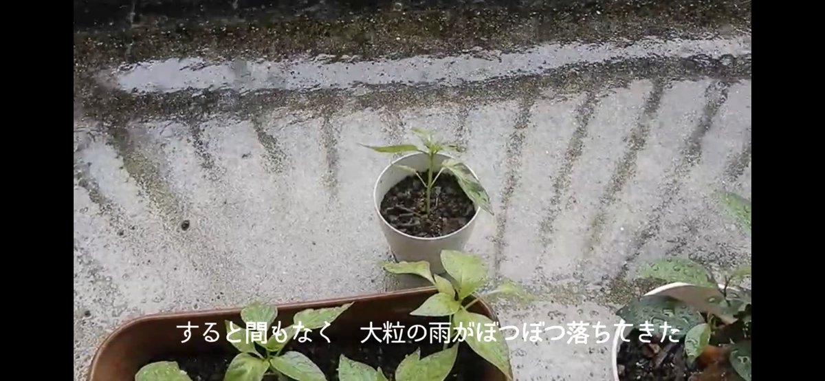 宮崎公立大学 放送研究会 Mmu Housou Twitter