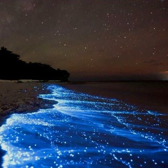 Sea of Stars - Maldives’ Vaadhoo Island 