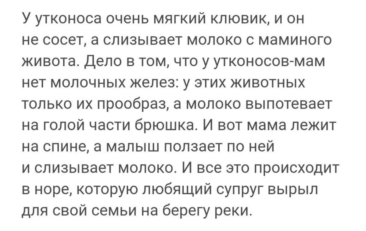 millaura_ tweet picture