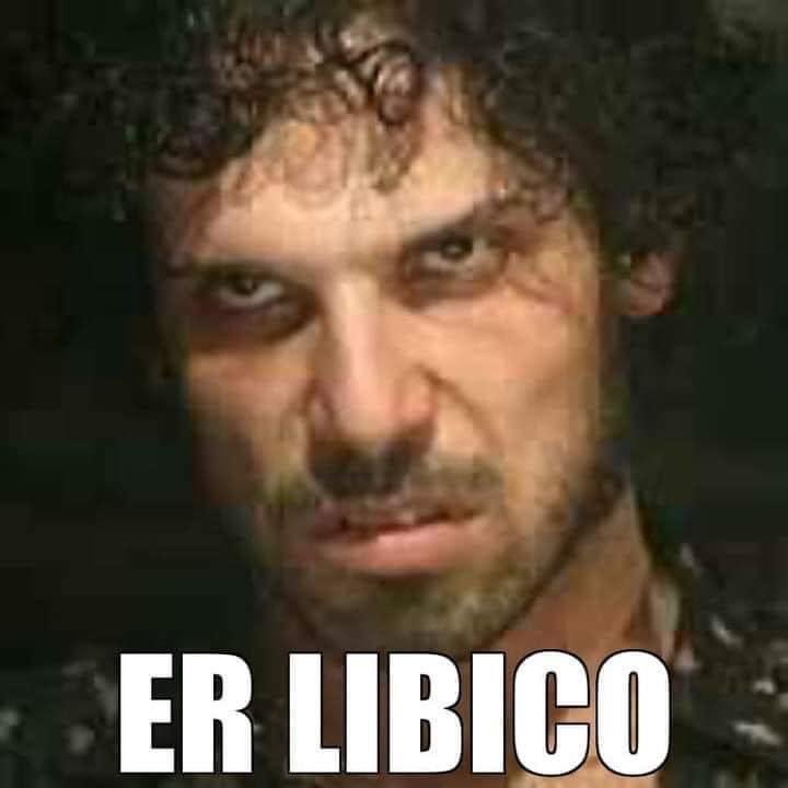 tizianalupi's tweet image. Definitiva. Grazie ⁦@StefyLupi⁩ #libici