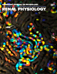 .<a href="/AJPRenal/">AJP Renal</a> study performs high-resolution imaging of calcium ion signals in a single kidney cell in mice and uses these insights to explore whole organ function and how it's different in disease states: ow.ly/aecl50APG4s #APSselect CC: <a href="/AJPRenalEIC/">Dr. Heddwen Brooks, PhD, AJP-Renal Editor-in-Chief</a>