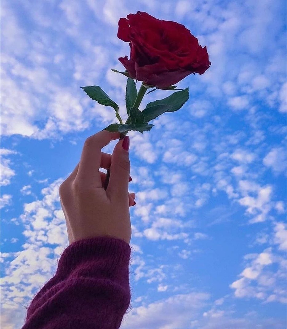 layaly2009's tweet photo. من علامات النضج ، أن الكلمات الجميلة لم تعد تؤثر بك أو تبهرك أو تشعر�� بالحب ، فقط وحدها المواقف والأفعال هي من تقوم بذلك. https://t.co/Cp0QituIZL