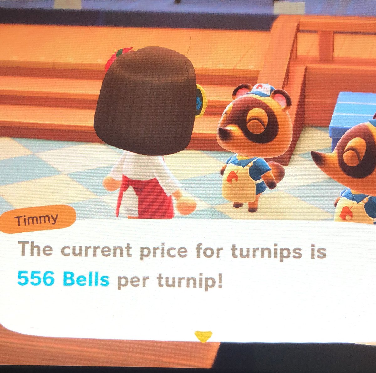 acnh_gurl's tweet photo. My turnip prices are 556 bells per turnip!!! If anyone wants to sell, I’ll open my gates. No entry fee required :D

#AnimalCrossing #TurnipPrices #AnimalCrossingNewHorizons #Turnips #TurnipPrice https://t.co/lDEGGVrjQD