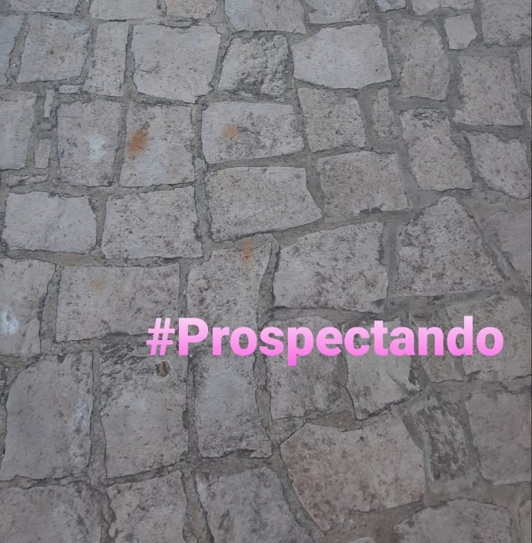 lic_aguadohdez's tweet photo. #Prospectando https://t.co/2ESfaAjmfw