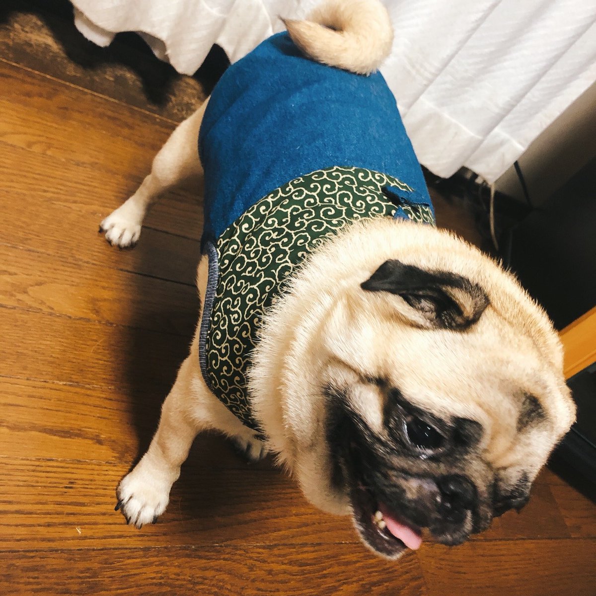 犬服ハンドメイド♡ミィモ♡ 犬服ハンドメイド♡ミィモ様専用♡ハロウィン - メルカリ