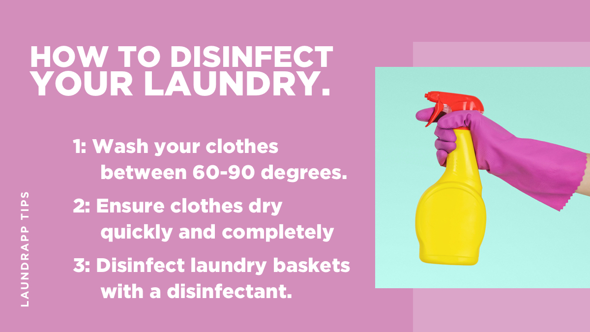 laundryheap_uk's tweet photo. Learn how to disinfect your laundry in three easy steps😄
#laundry #laundryroom #laundryday #cleaning #home #drycleaning #clean #washing #disinfect #cleaning #bedcleaning #clean #howto #humpday https://t.co/2X87stZkCb