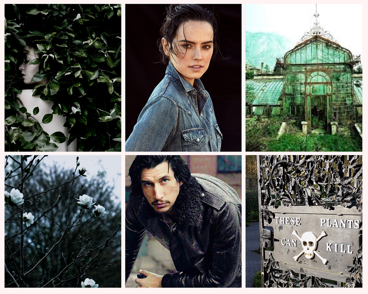 HouseReysistnce's tweet photo. "Poison Kylo" by @DottieSnark for a board by @thisgarbagepic1: Things between Rey and her boyfriend, Ben, were pretty great. That is until a deadly toxin is released into the city, changing everything. Changing them. (Bittersweet end, temp death. rated T) https://t.co/7I2FDqGrBg https://t.co/DLr9AdwCvx