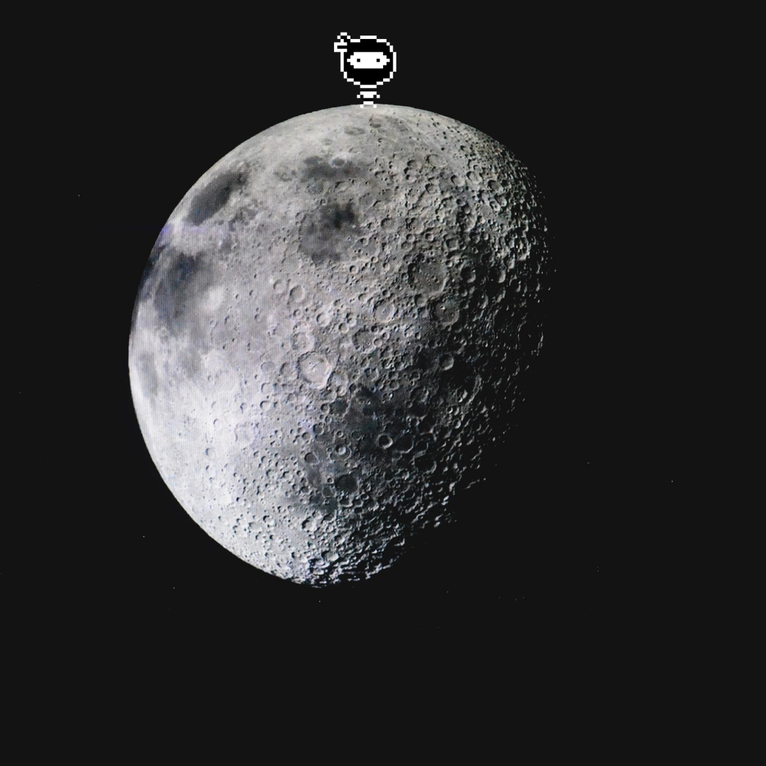 Quazaarsoftware's tweet photo. Do you know who is standing there on the moon? How did he get up there! https://t.co/Mry2Tubqi9