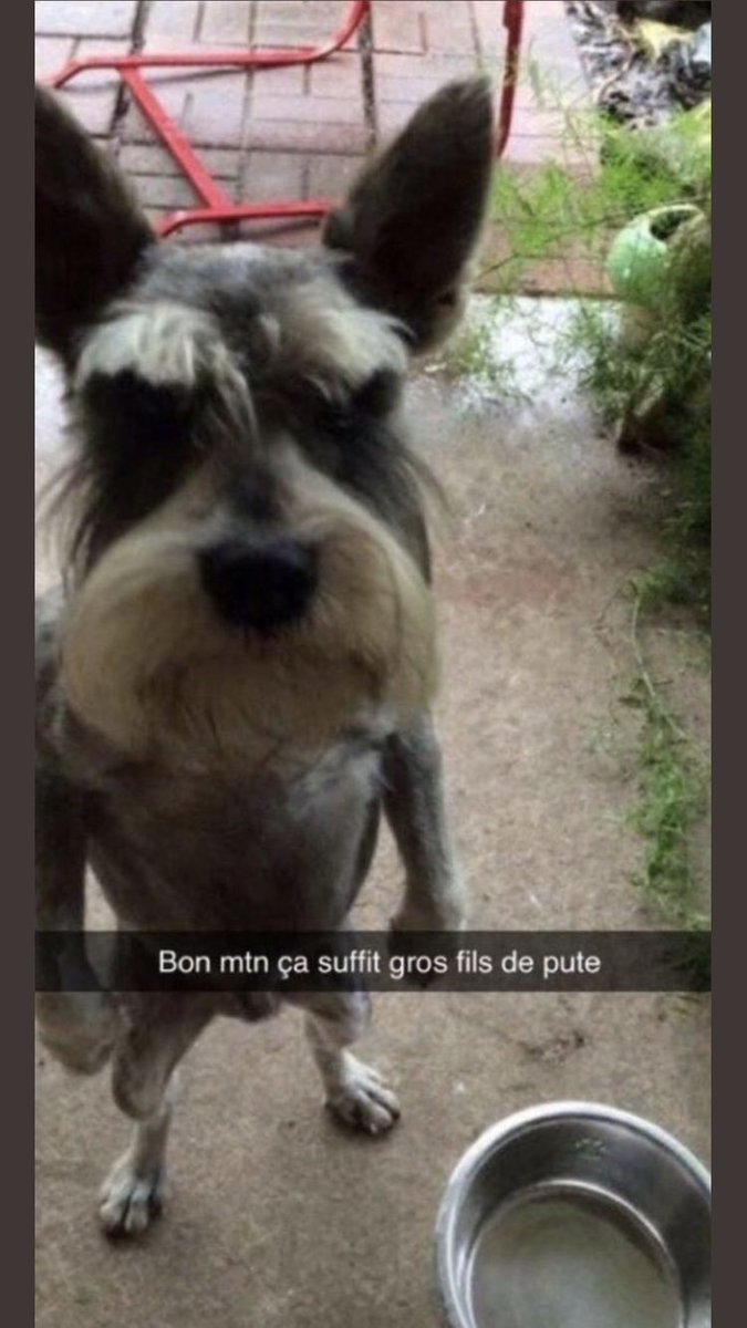 _nolanm86's tweet photo. @_dieuoff Quand ton pote se retourne obligé il est comme ça https://t.co/qI7uuRijyJ