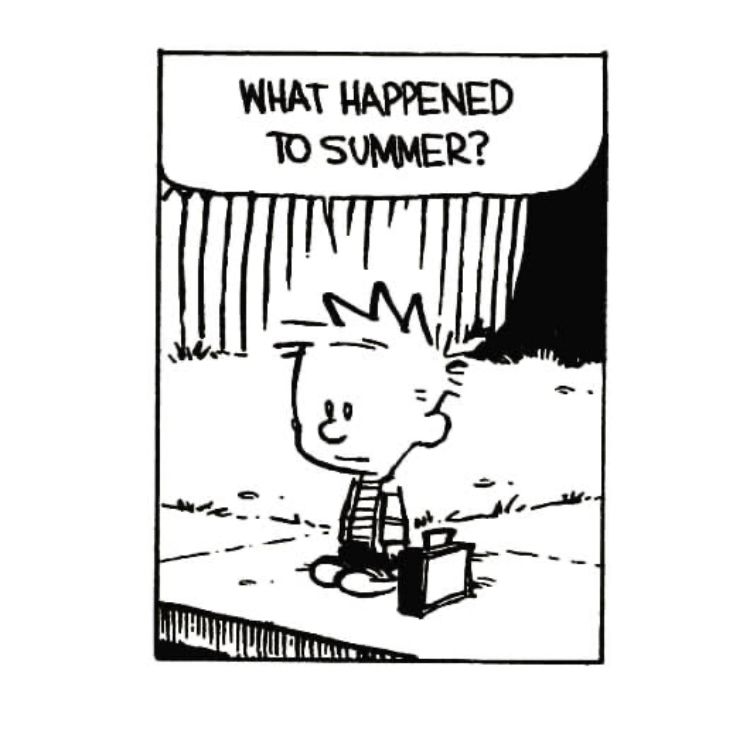 Calvinn_Hobbes's tweet photo. Summers always go by way too fast! #calvinandhobbes https://t.co/c7Q0c6uRSb