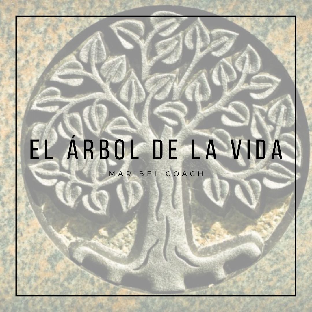 maribelm1961's tweet photo. El árbol de la vida sirve como amuleto para muchas personas. De forma general simboliza El Ciclo de la Vida. Para saber más.. Instagram: @coachmaribelmunoz #coach #arboldelavida #lifestyle #coachingpersonal https://t.co/JcLqW1fiD8