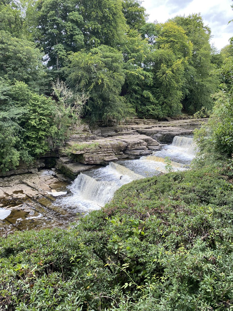 JScottGeography's tweet photo. Lovely few days exploring the Yorkshire Dales - plus the geography nerd in me loved walking around Aysgarth Falls 🌍 #edutwitter #geographyteacher #yorkshire https://t.co/MzKXkIOABn