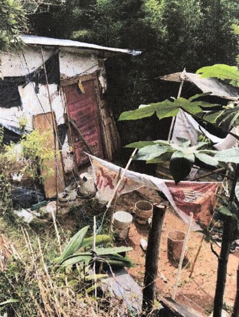 DianaRojasCali's tweet image. En Cali no puede hacer carrera la cultura de las invasiones, por lo que elevo un llamado a @SeguridadCali  y otros organismos para que se intervenga de manera integral esta problemática y se implementen las medidas pertinentes que eviten que estos hechos se repitan.