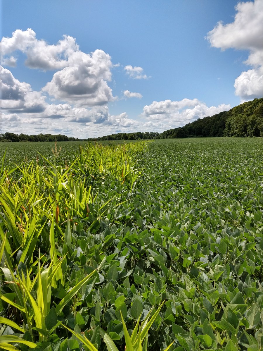 Bruce MacKellar tweet media