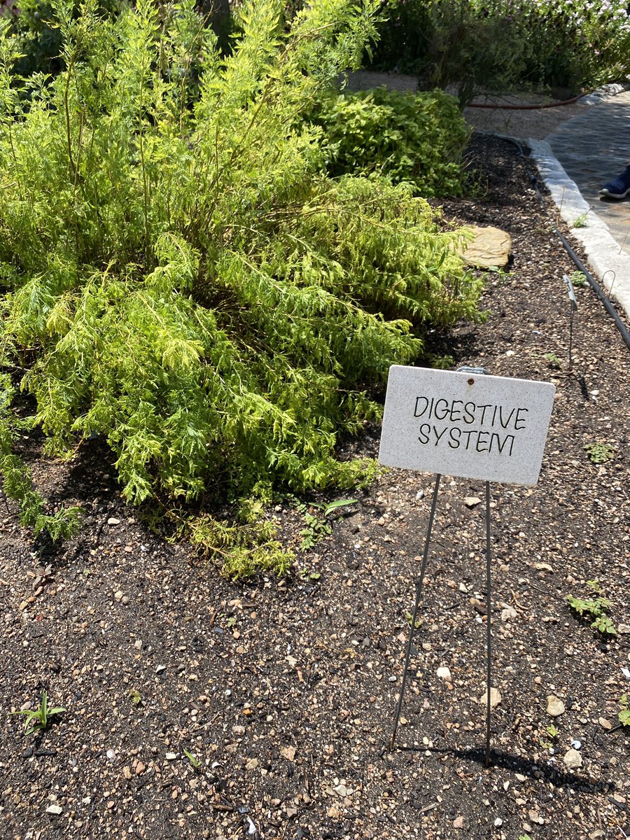 A beautiful morning catching up with our friends at <a href="/HerbalGram/">Etta Romiti-Niggli♨</a> today.