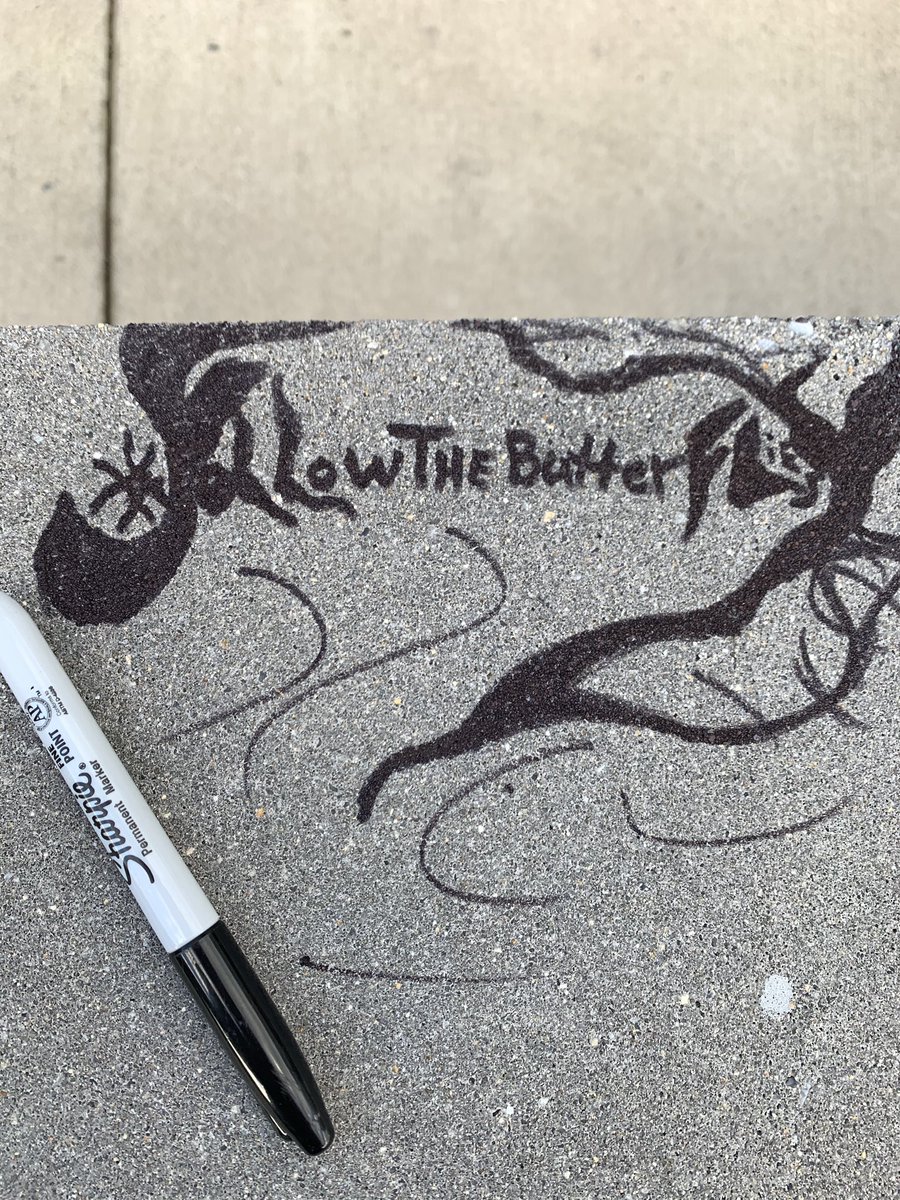 leviosamariposa's tweet photo. #Followthebutterflies 🤷‍♀️🤨🤔👣👣👣👣🦋🦋🦋🦋 https://t.co/xeFpvQgaBn