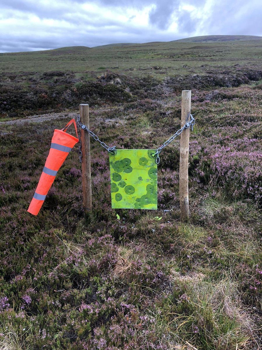 RT. Twitter exclusive: Look away! Disgusting Image of the shot mountain hares on an Inverness-shire grouse moor. <a href="/MairiGougeon/">Mairi Gougeon</a> should be ashamed of allowing this outrage to blight Scotland’s countryside. #enoughisenough