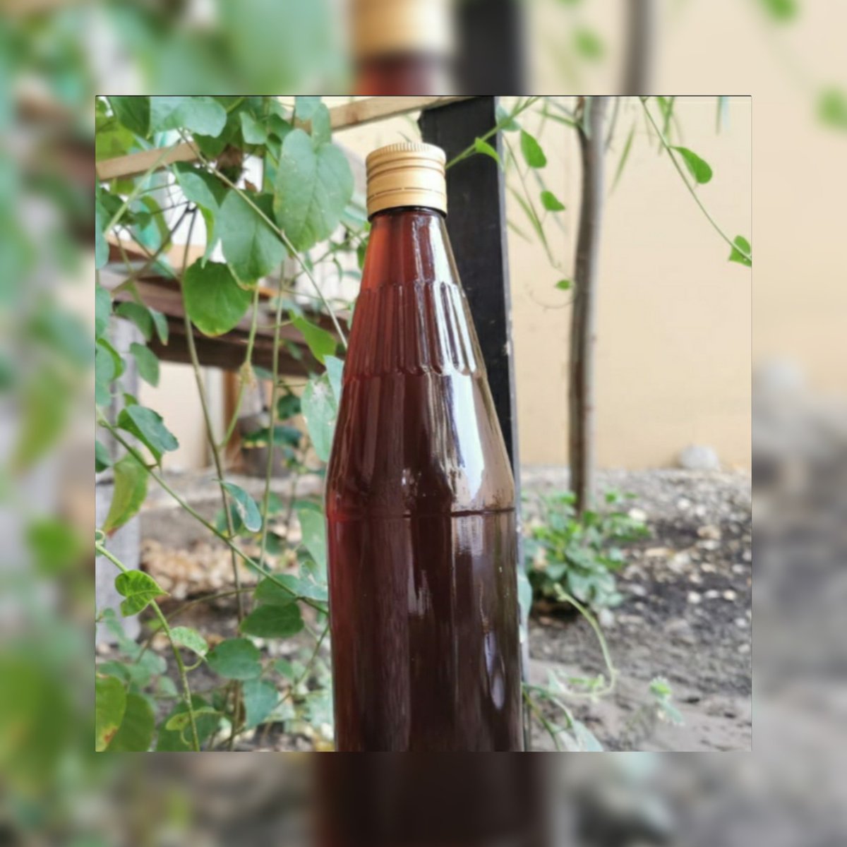 إنتاج منحل الحديقة 🐝
