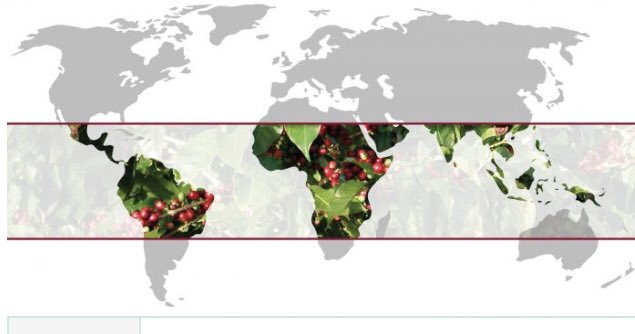 DelsCoffee1's tweet photo. Coffee Break Wednesday: Coffee grows best in an area known as the Bean Belt -the band around the Earth in between the Tropics of Capricorn and Cancer.
#CoffeeBreakWednesday 
#Coffee #Beanbelt #CoffeeLover #CoffeeTalk #SpecialtyCoffee #CoffeeRoaster #HomeRoaster #CoffeeVibes https://t.co/aA3jL4zQom
