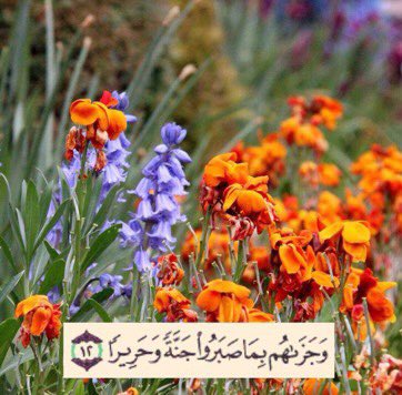 haza1216's tweet photo. اللهم اجعلهم من اصحاب هذه الآيات يارب #هزاع_بن_شري #متعب_بن_شري #فراس_بن_شري https://t.co/R9ww1ZxB55