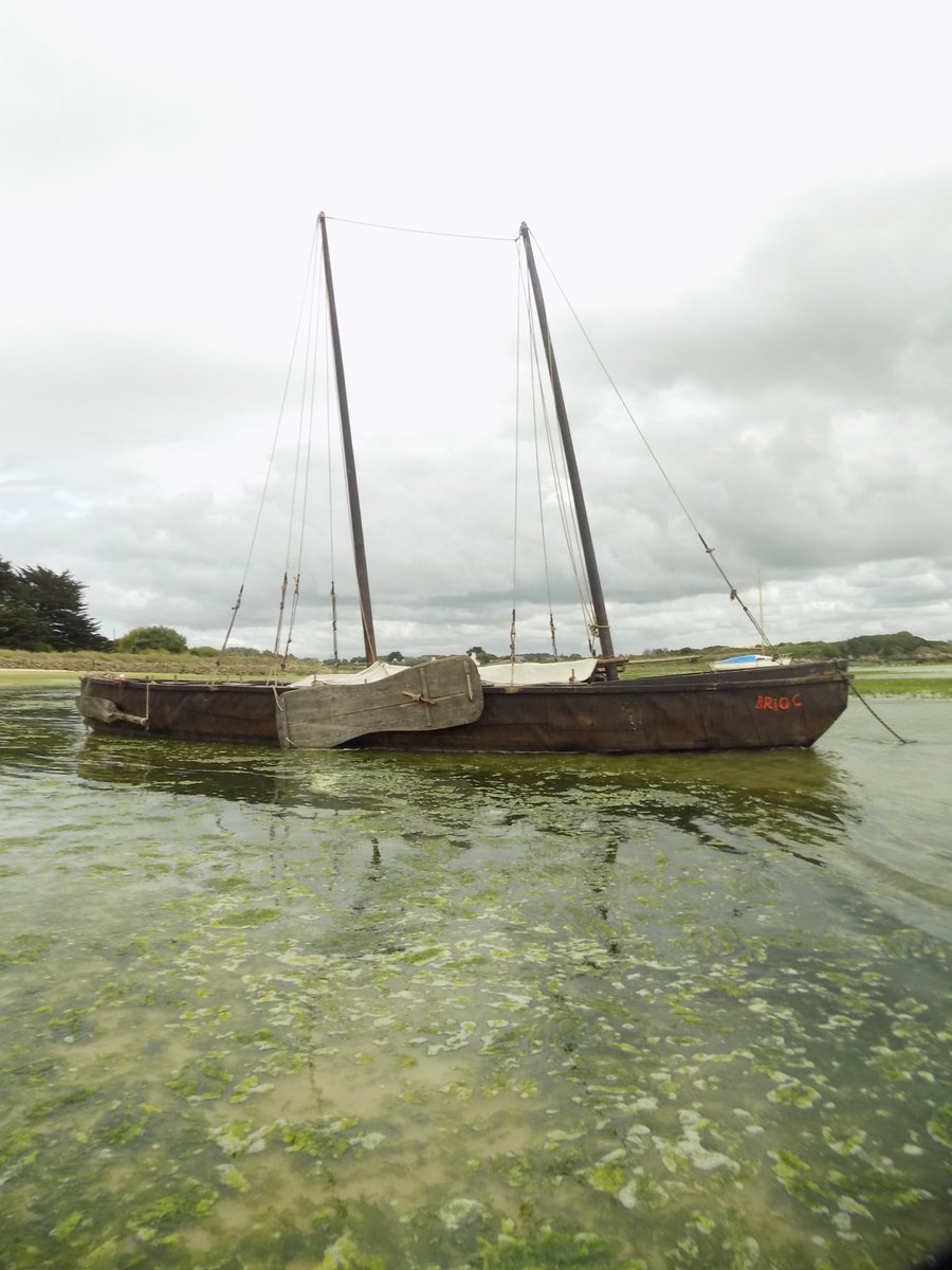 ThiChaplain's tweet photo. le #Brioc est un navire basé sur un navire de l'époque médiévale qui est navigable, son port d'attache c'est #Kerlouan dans le #FinistèreNord ou le #Léon ou le #PaysLéonard. #Histoire #Archéologie #Navigation #Aviron #Bretagne https://t.co/hJIM8tSwfJ