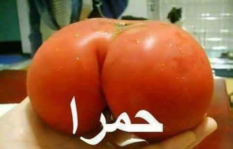 2Masrawy's tweet photo. @arabic_post https://t.co/GysnRTrptX