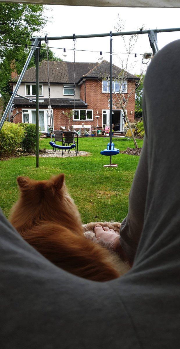 StefaanVossen's tweet image. 13 hours of calls and meetings in a day of a 24 hour water-only fast with two 500 cal burn sessions #buggered