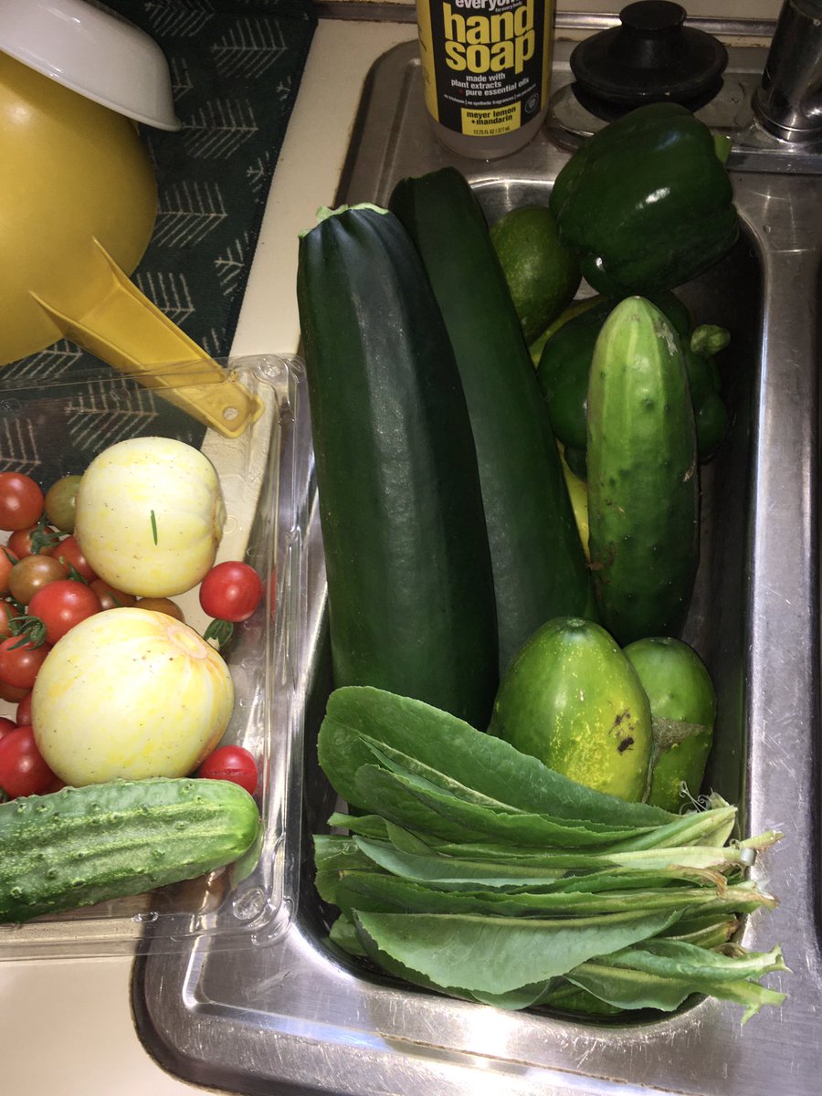 Edm_21_'s tweet photo. Send help. Or vegetarian 🌱 https://t.co/LA7eMjpXVn
