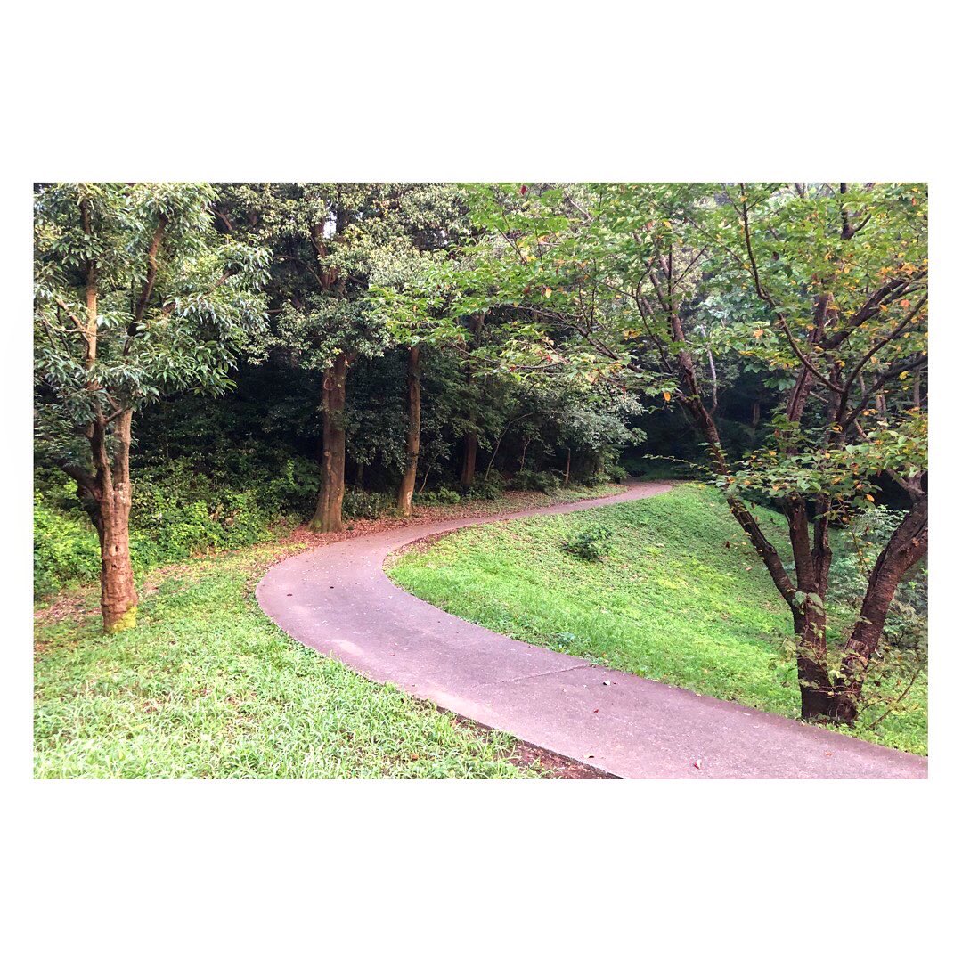 morning run.
今朝はゆっくり5km走って1日のスタート。相棒はCloudflow
#onrunning #OnFriens #running #ランニング #多摩丘陵 #東京多摩ライフ #身近な自然 https://t.co/J1OWt6j0ow