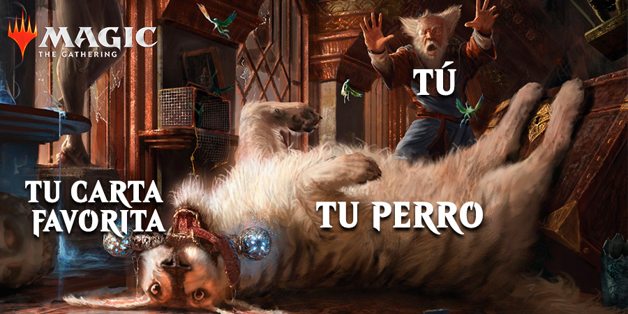 ¿Qué harías?😓

#MTGM21