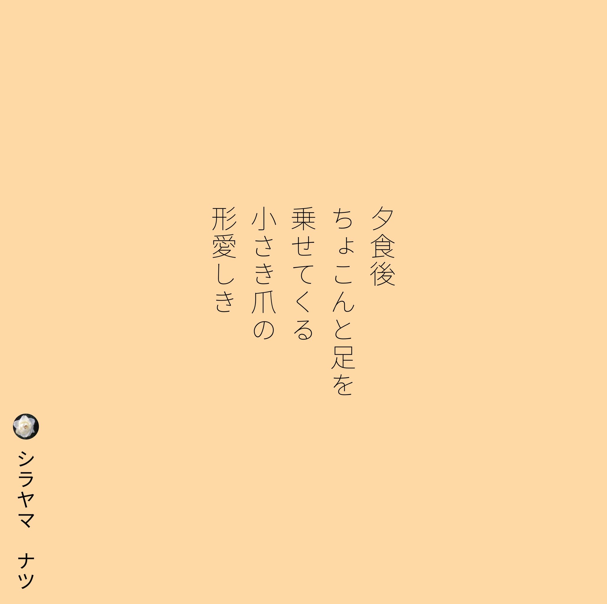 Shirayamanatsu シラヤマ ナツ 夕食後 ちょこんと足を 乗せてくる 小さき爪の 形愛しき シラヤマ ナツ T Co 7e3wchnapb 短歌 詩 短歌好きな人と繋がりたい 詩を書く人と繋がりたい 詩歌 歌詞 恋 ポエム 恋愛 恋愛ポエム 青春 両思い