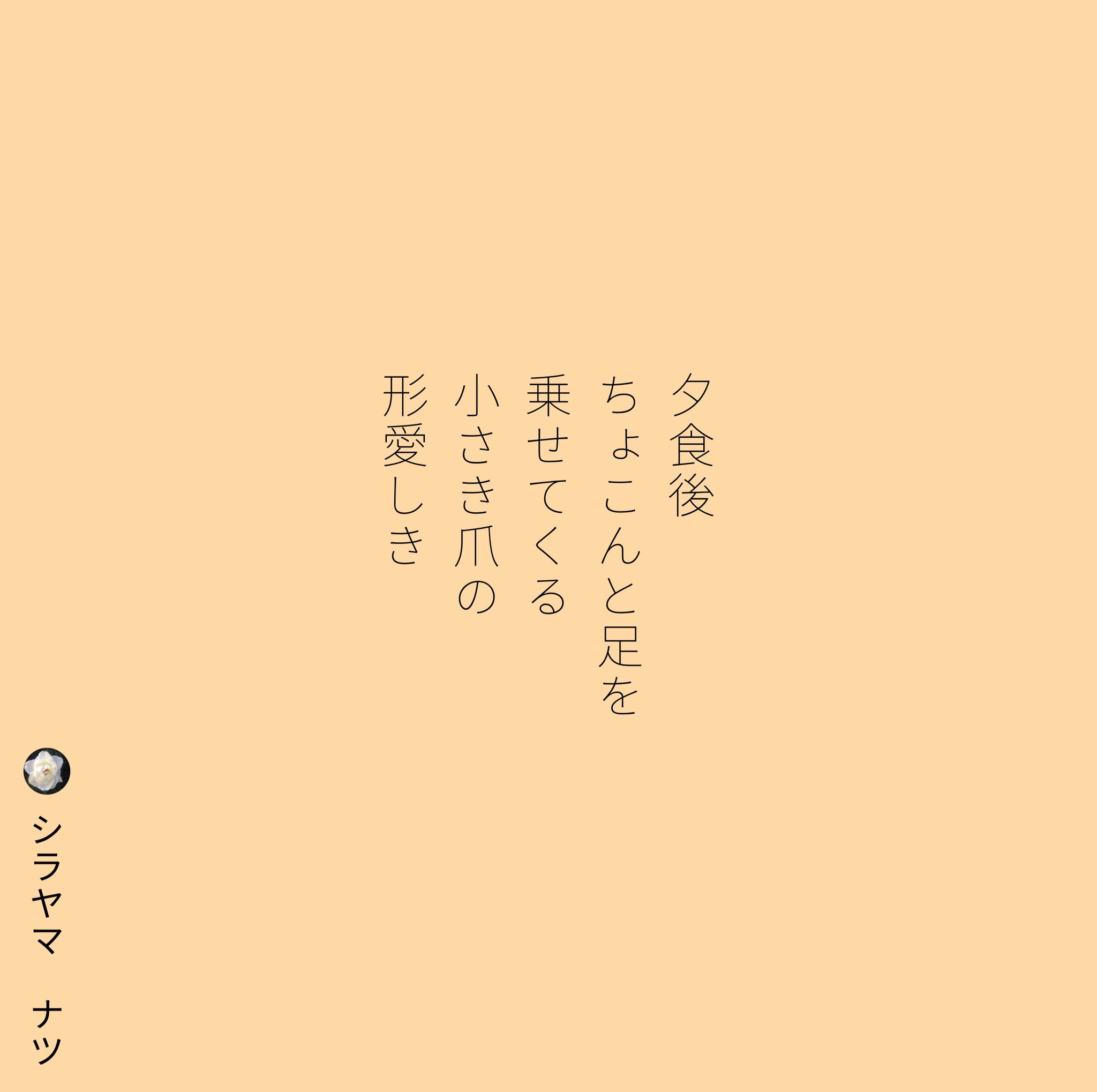 تويتر Shirayamanatsu シラヤマ ナツ على تويتر 夕食後 ちょこんと足を 乗せてくる 小さき爪の 形愛しき シラヤマ ナツ T Co 7e3wchnapb 短歌 詩 短歌好きな人と繋がりたい 詩を書く人と繋がりたい 詩歌 歌詞 恋 ポエム 恋愛 恋愛ポエム 青春 両