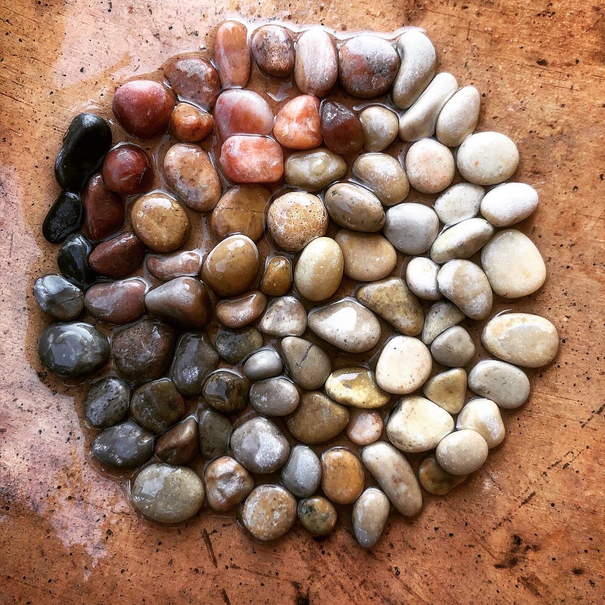 LeonorWatling1's tweet photo. Estás aburrido...
Ordena las piedritas del parque, por colores o formas. 
O no. 
Cada uno tiene la relación que quiera con su neurosis,
¿O la que quiera la neurosis? 
Voy a ordenar la arena del parque, ahora vuelvo. https://t.co/LInXgLcSXx