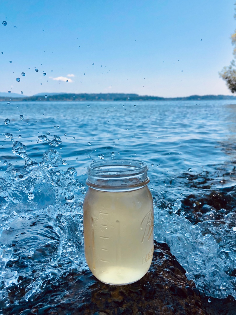 Ginger #Kombucha from <a href="/ShenZenTea/">Shen Zen Tea</a> is essential on a day like today ☀️☀️☀️ We're selling crowlers, growlers, and cans TO GO so you can take them to your favorite PNW spots this summer, #Seattle! 
Live Taplist: thegrowlerguys.com
Order Ahead Online at bit.ly/33wqTUG.