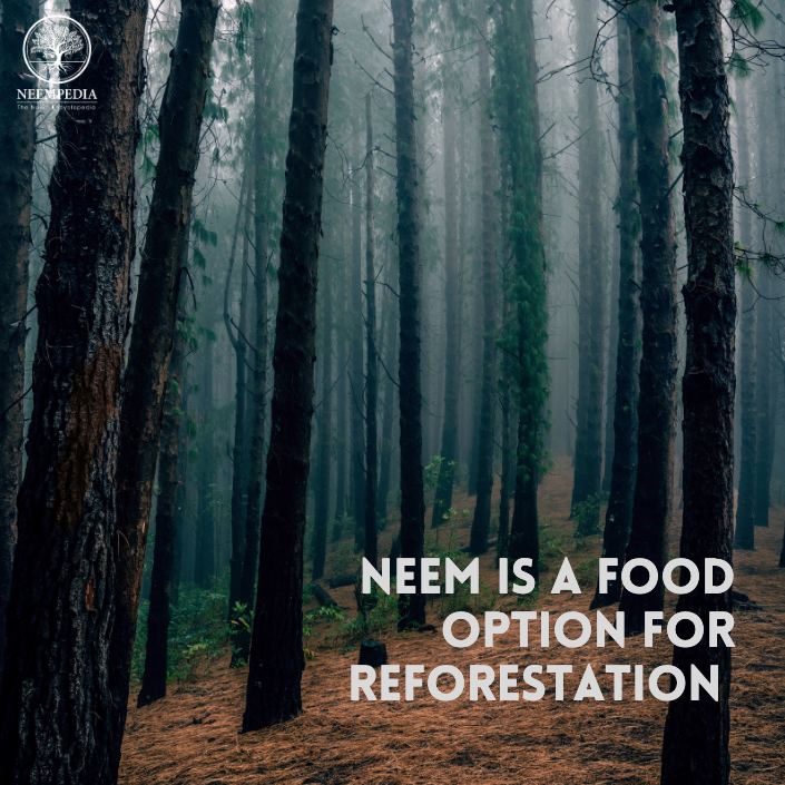 Neempedia's tweet photo. Neem not only grows vigorously in many types of semiarid and tropical sites, is a multipurpose species that provides villagers with various products from which to derive an income during the years when the trees are maturing. Visit https://t.co/elwzRqqtmc for more information! https://t.co/dhRfJdgdKS