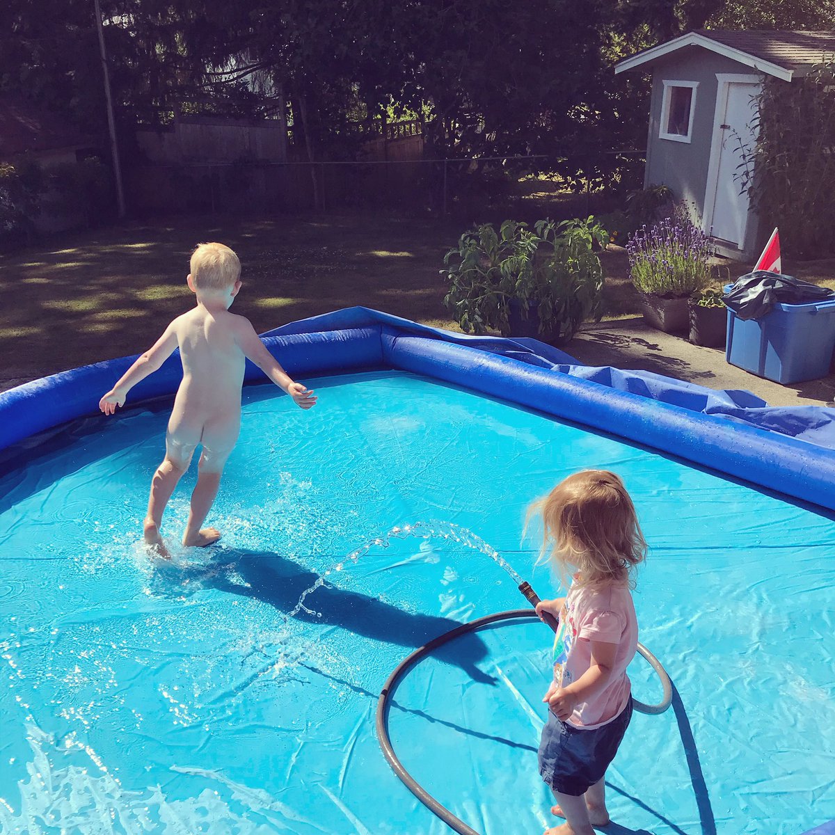 kellydouglas1's tweet photo. #mybcstaycation https://t.co/tVHjreC3cg