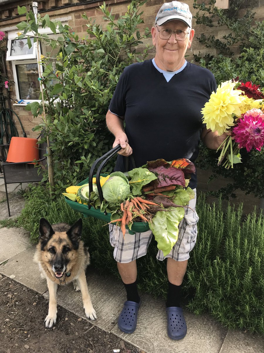 geraldstratfor3's tweet image. Just picked a few vegetables and a bunch of dahlias for Liz cheers