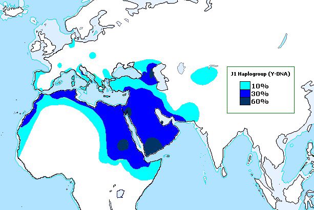 Let’s focus on Y-DNA as it’s the most studied.Genealogists agree on J1 to be the Arabic lineage Haplogroup (and some say from Qahtani tribes in Yemen) The distribution of J1 is as such (numbers may differ from test to test but a significant J1 is always found in North Africa).