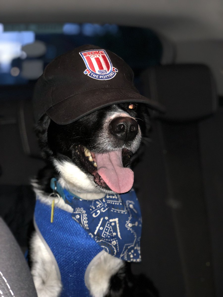 P0tterMrs's tweet photo. Ready for the #skyvip #thebigquiz with our #teammascot for team @StokieBacon https://t.co/5om5eW2pK2