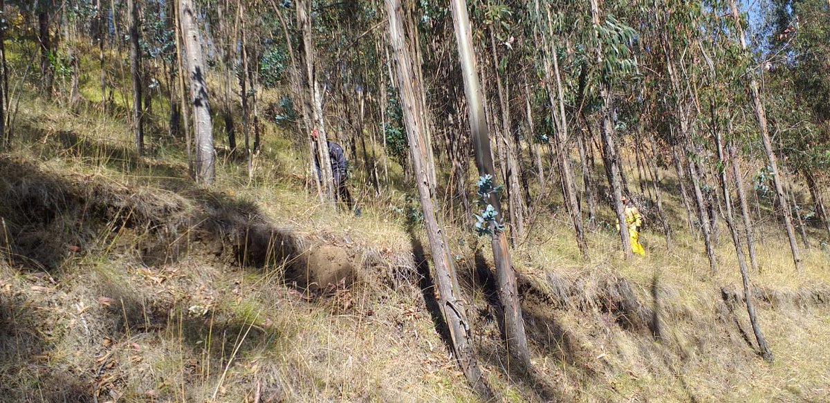 Se asiste a emergencia de tipo incendio forestal en el Sector de Julio Moreno, al momento se encuentra controlado, para que no contamine los sembrios del sector. Ayúdanos a controlar los incendios forestales NO a las quemas agrícolas