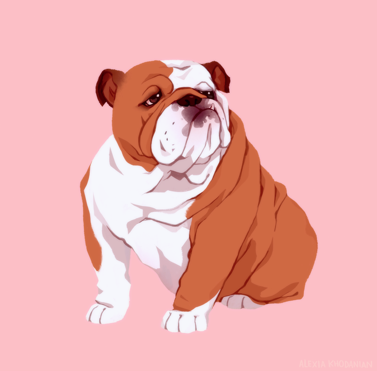  #doggust day 4 from yesterday, well technically last year's yesterday: bulldog!