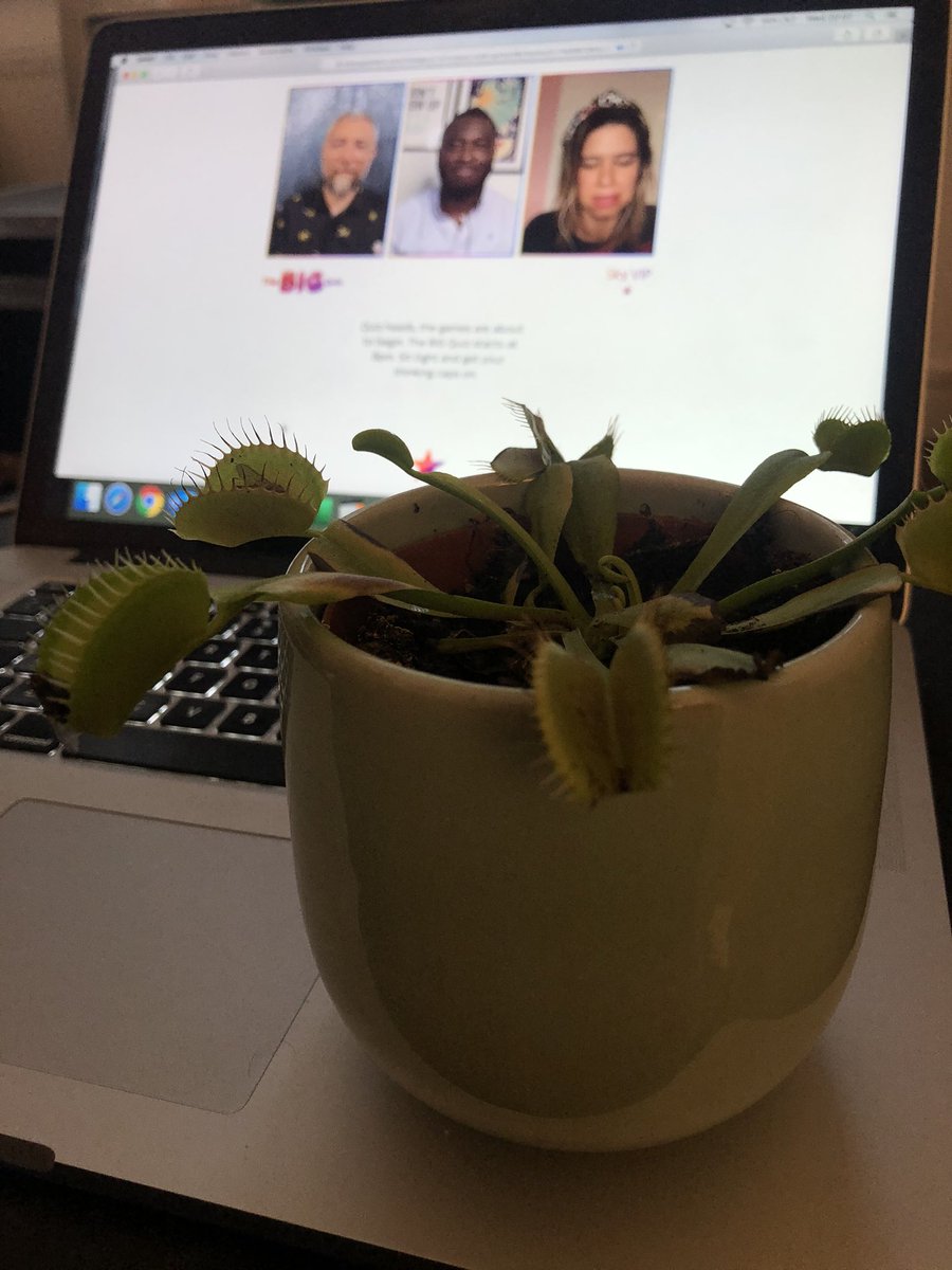 #skyvip #team District Covid-19 and team mascot Audrey 3