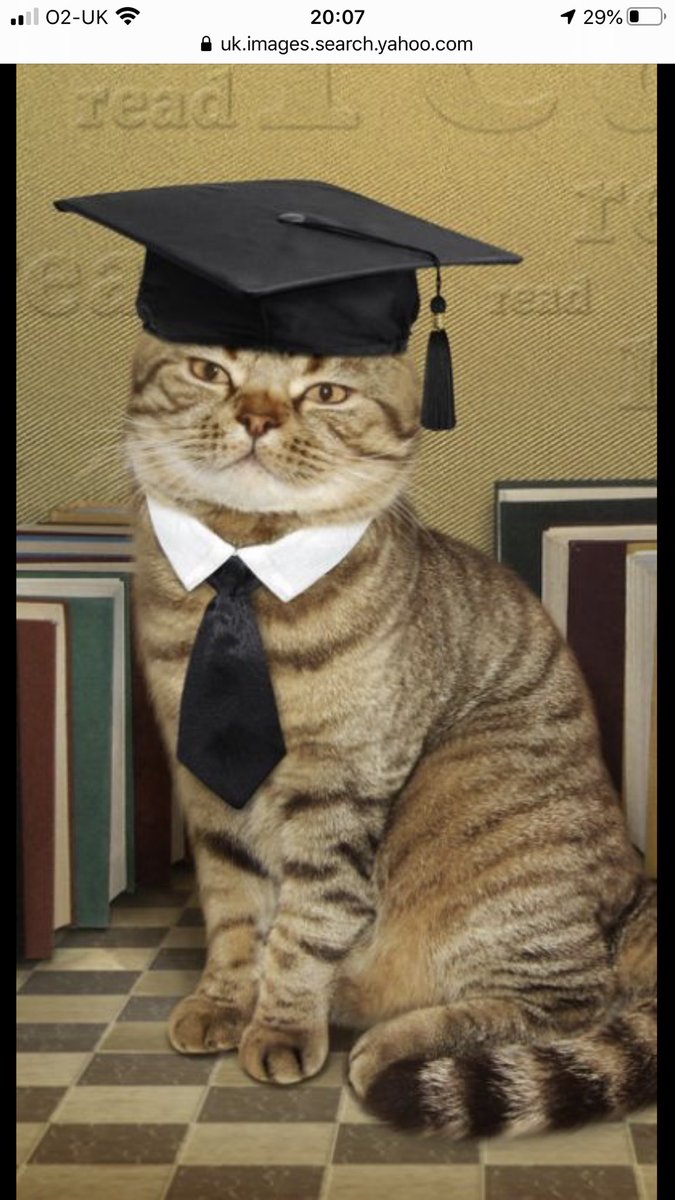 TracyPinner's tweet photo. #skyvip clever cats!  Come on! https://t.co/7bcwaiuEV3