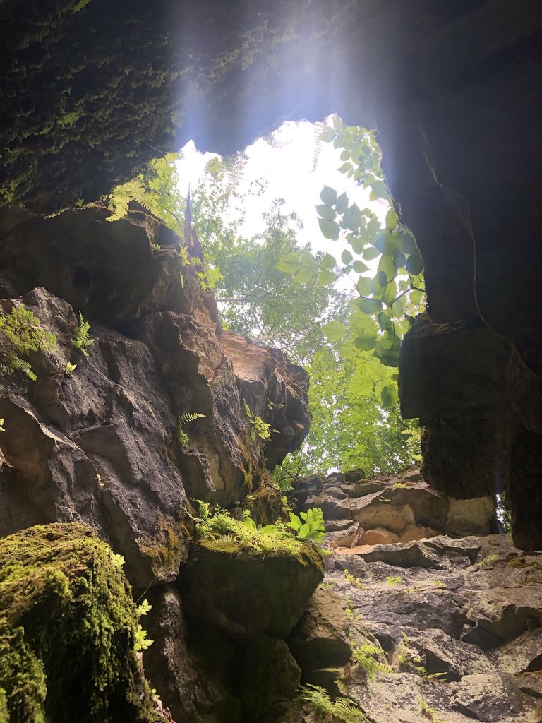 SenecaForest's tweet photo. While we are still working from home the spirit of nature still calls to us to come play and be together. An educator’s recent journey hiking to the top and exploring local caverns
#joy #motherearth #exploration https://t.co/Ebc6QSYCTx
