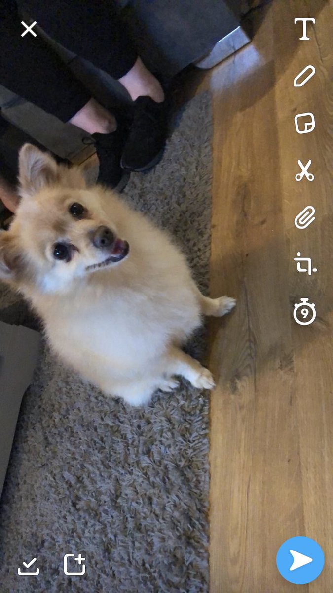 Stacey_Ross's tweet photo. My mascot is fuming!!! Can’t even join the quiz now because it keeps saying the name exists! Even tho I tried my NI number with a random word? @SkyHelpTeam  SKYVIP 🤬🤬🤬 https://t.co/a0PysElj79